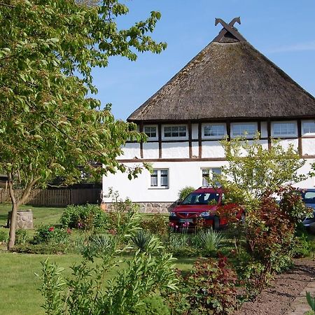 Gemütliche Ferienwohnung unterm Reetdach Boiensdorf Exterior foto