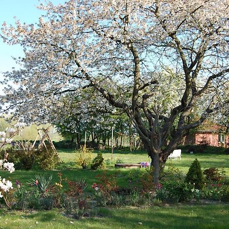 Gemütliche Ferienwohnung unterm Reetdach Boiensdorf Exterior foto