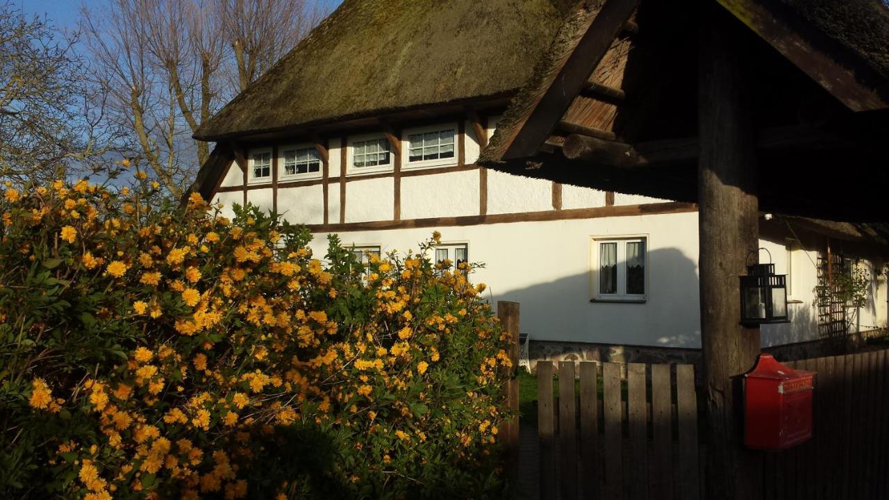 Gemütliche Ferienwohnung unterm Reetdach Boiensdorf Exterior foto