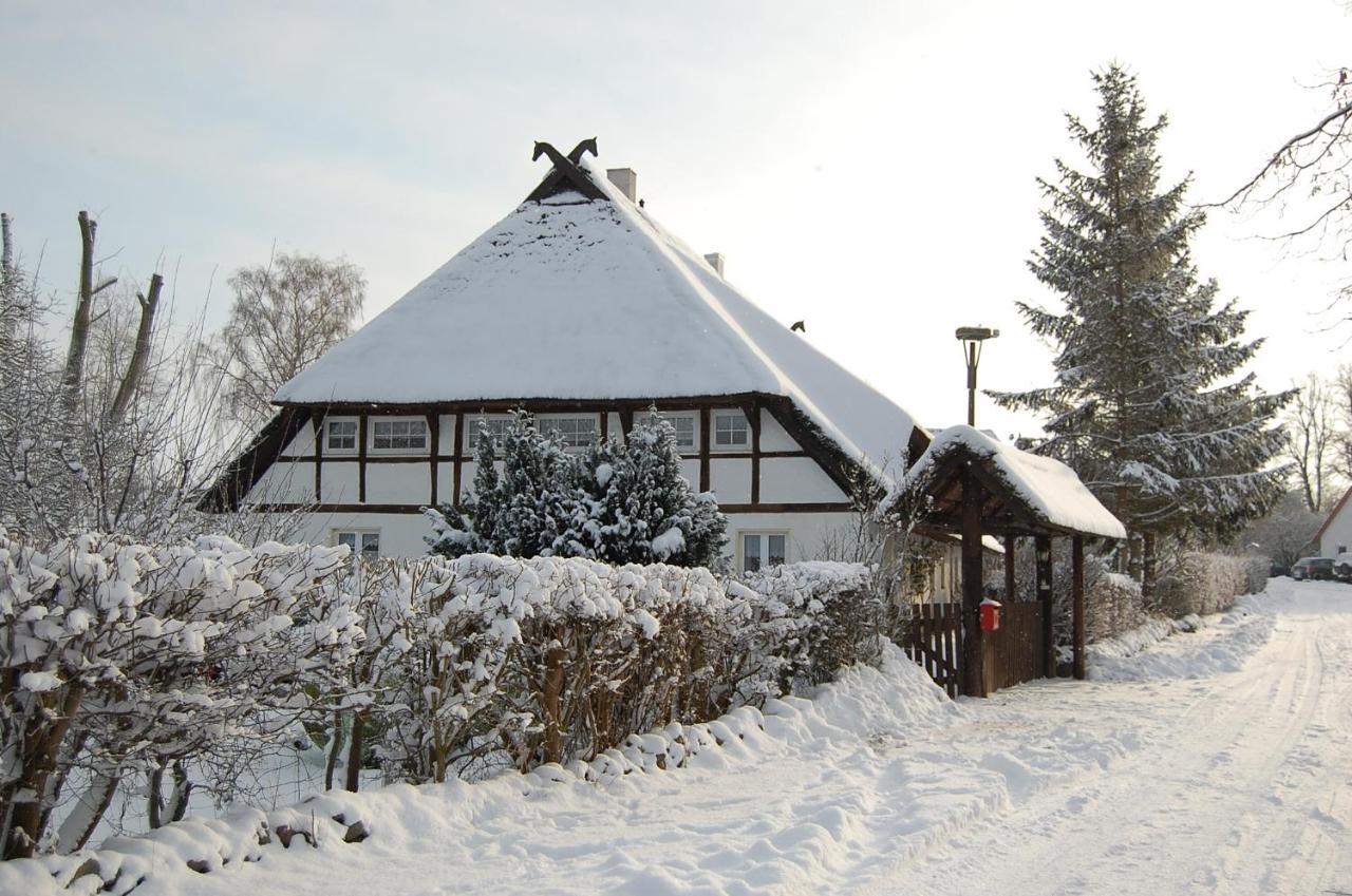 Gemütliche Ferienwohnung unterm Reetdach Boiensdorf Exterior foto