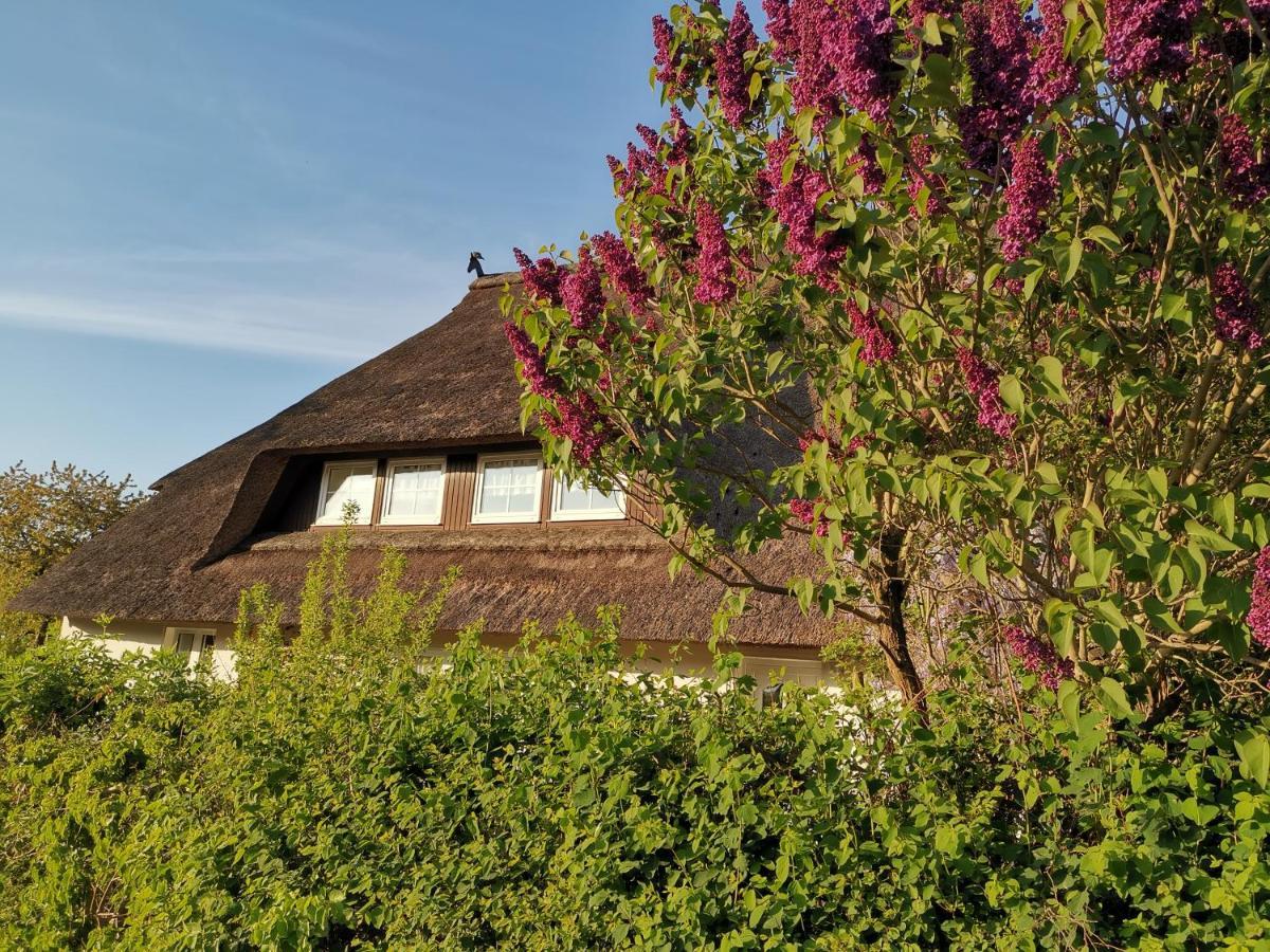 Gemütliche Ferienwohnung unterm Reetdach Boiensdorf Exterior foto