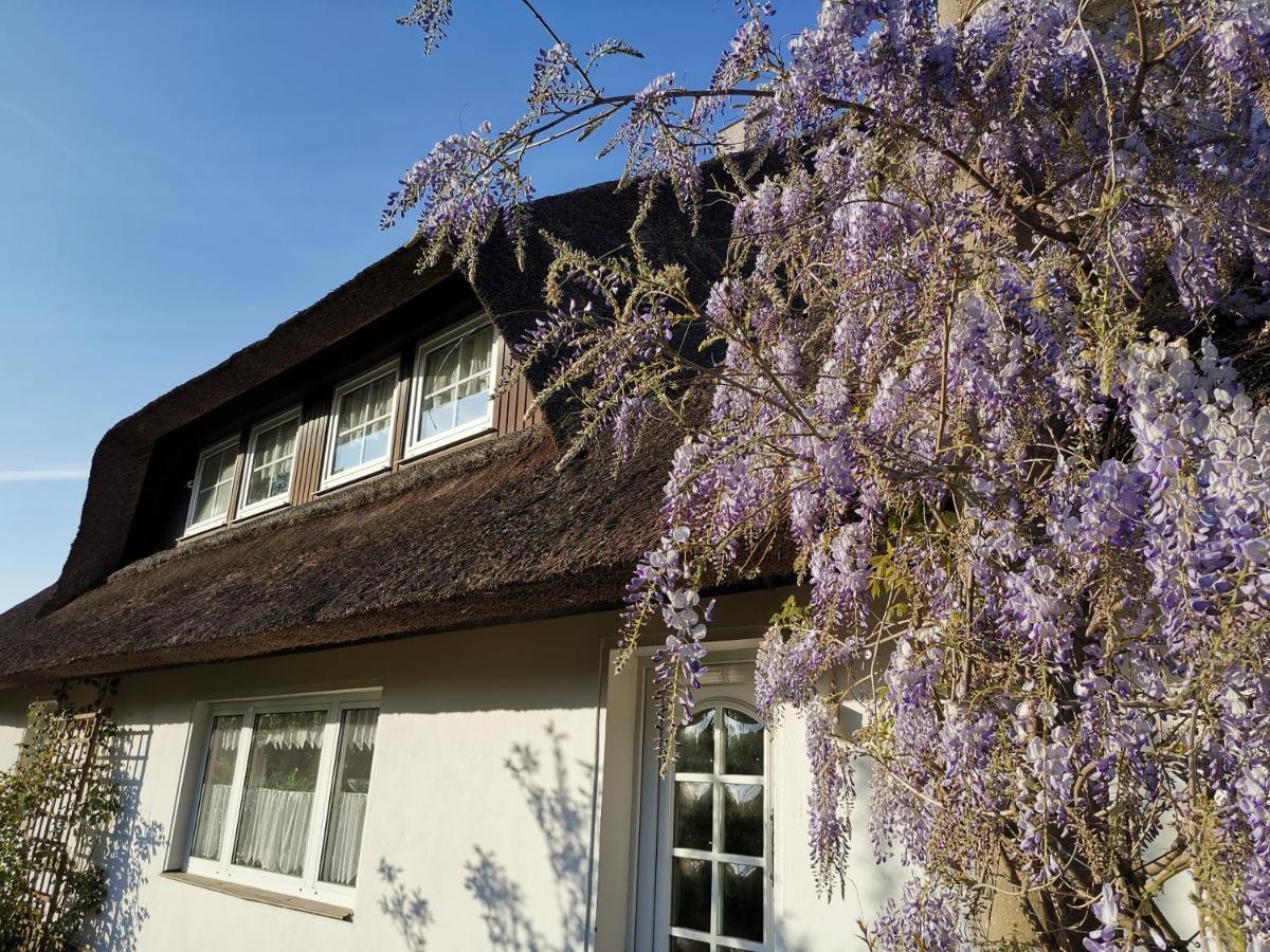 Gemütliche Ferienwohnung unterm Reetdach Boiensdorf Exterior foto