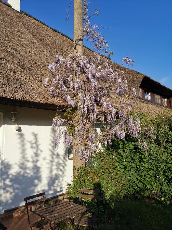 Gemütliche Ferienwohnung unterm Reetdach Boiensdorf Exterior foto